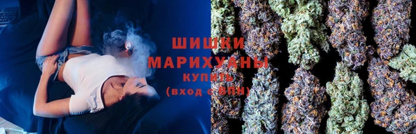 прущие крисы Менделеевск